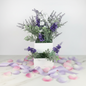 Welcome Purple Floral